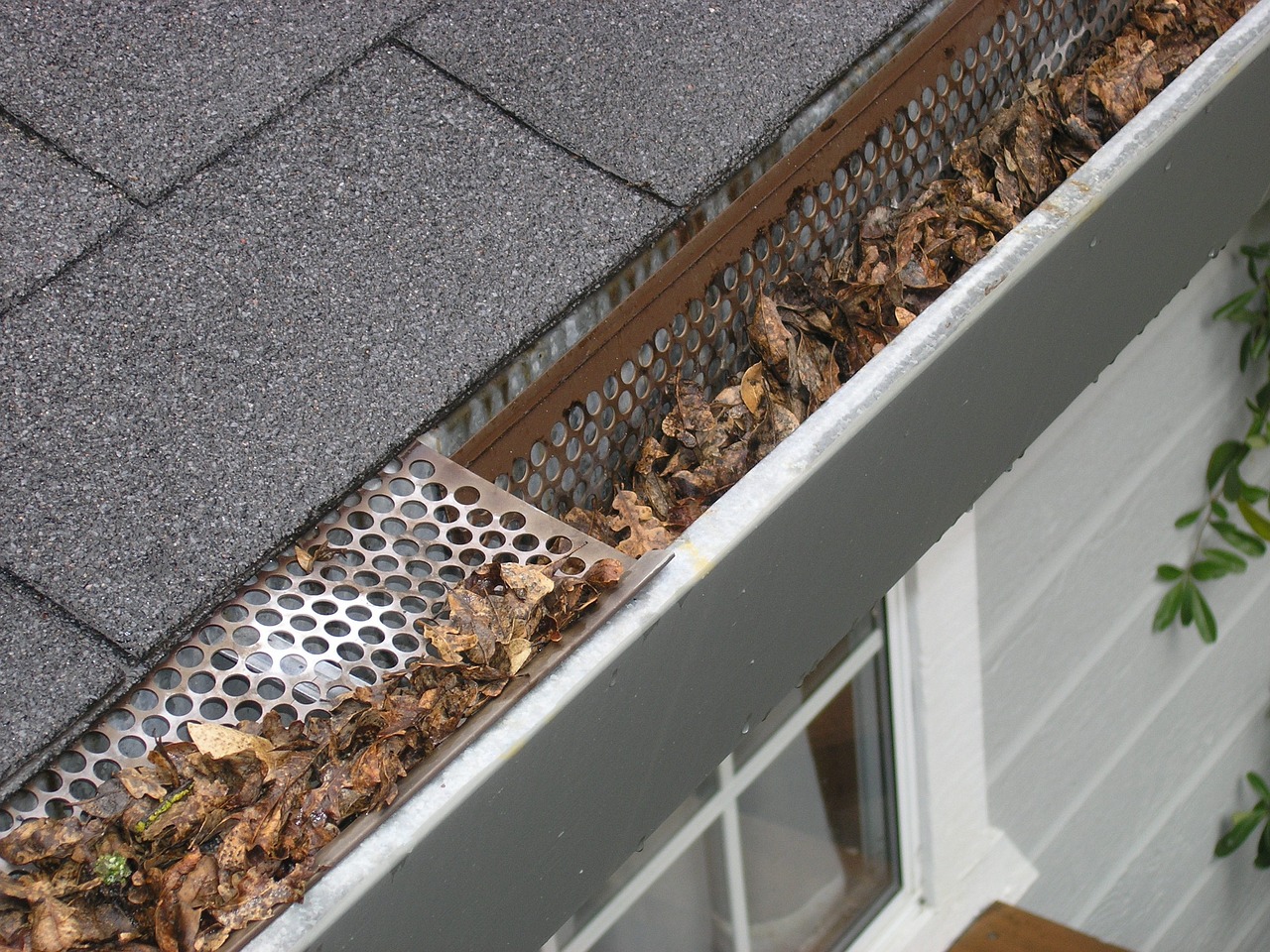 Cleaning service - Gutter Cleaning